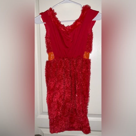 Costume Dress - Picture 3 of 5